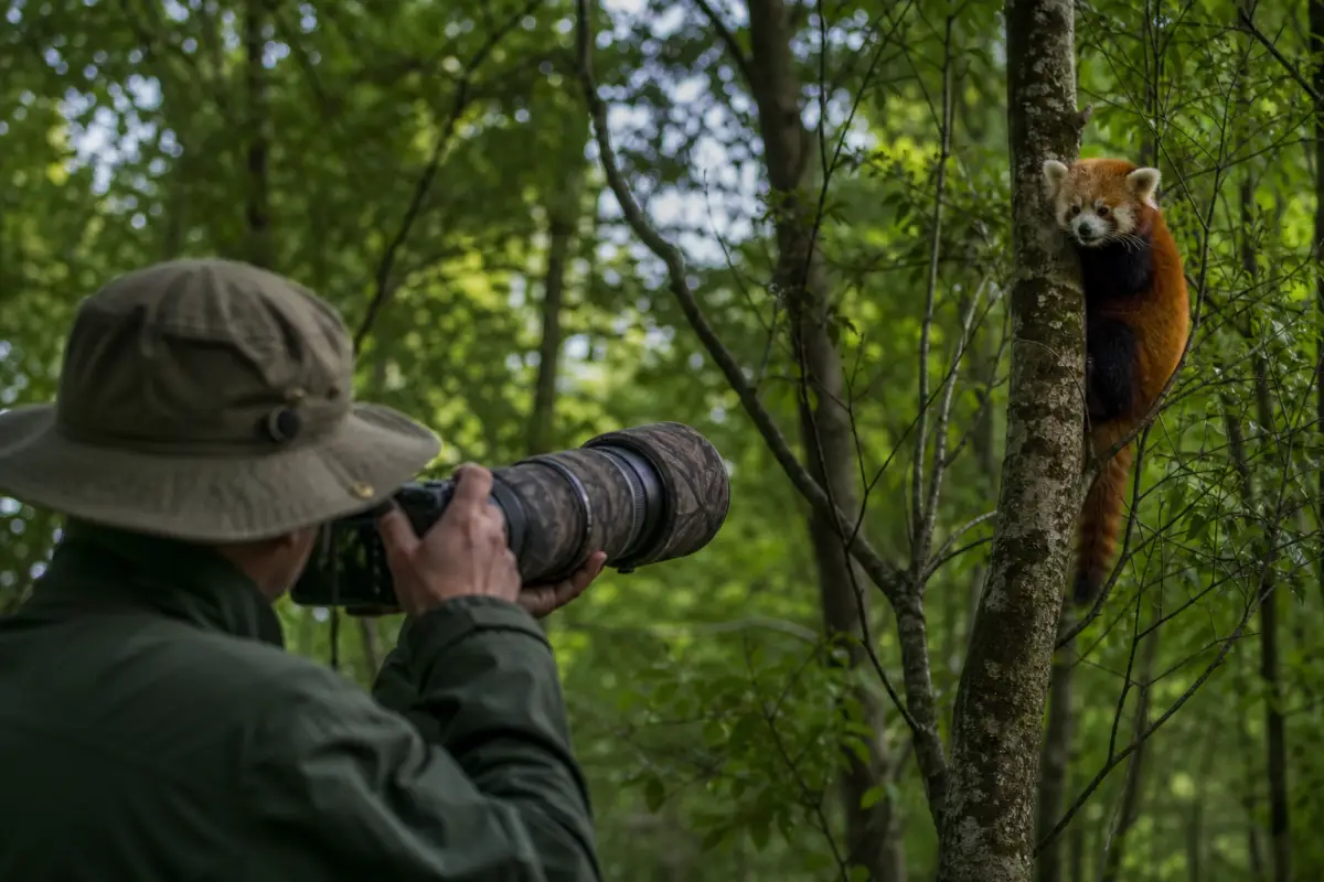 Beste camera voor wildlife